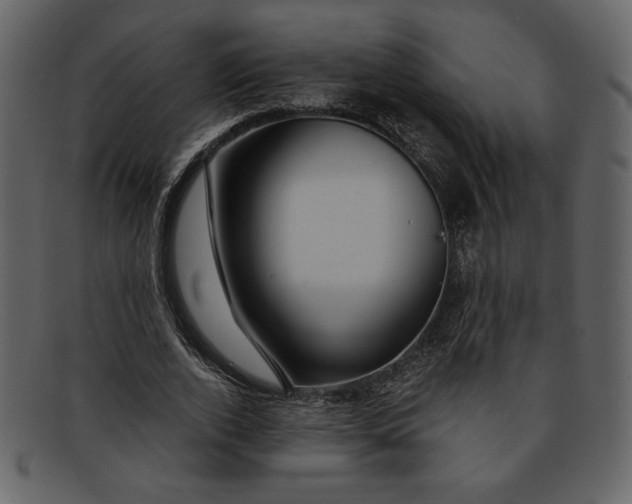 X0000093230728200710171418