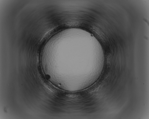 X0000093230733200710171418