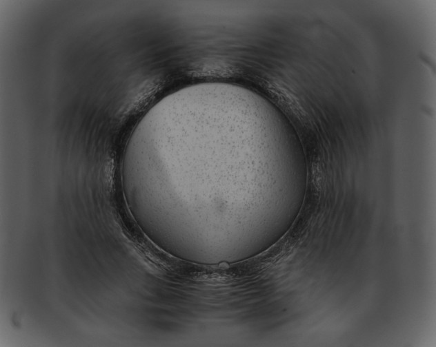 X0000093230735200710171418