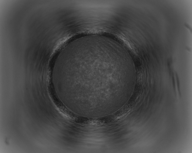 X0000093230736200710171418