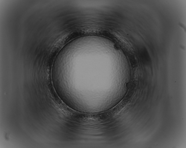 X0000093230737200710171418