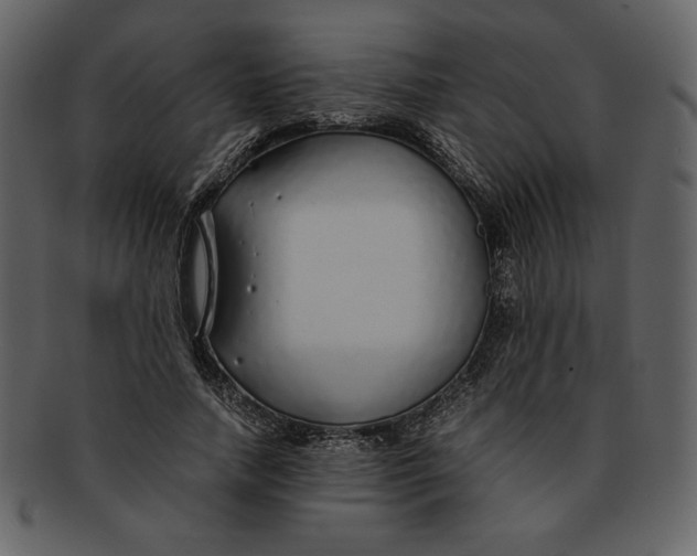 X0000093230738200710171418