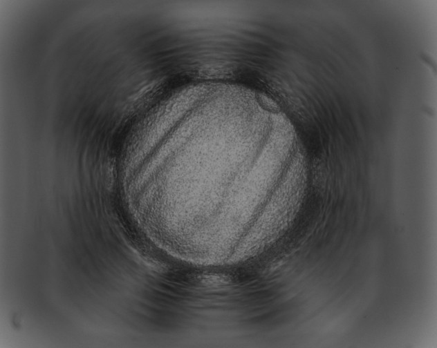 X0000093230741200710171418