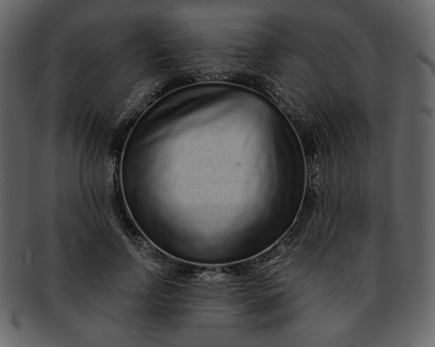 X0000093230742200710171418