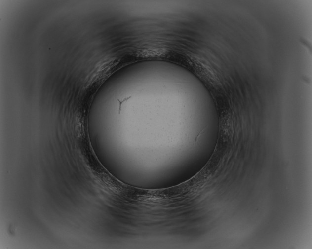 X0000093230743200710171418