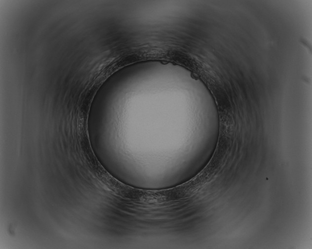 X0000093230745200710171418