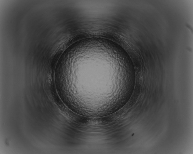 X0000093230746200710171418