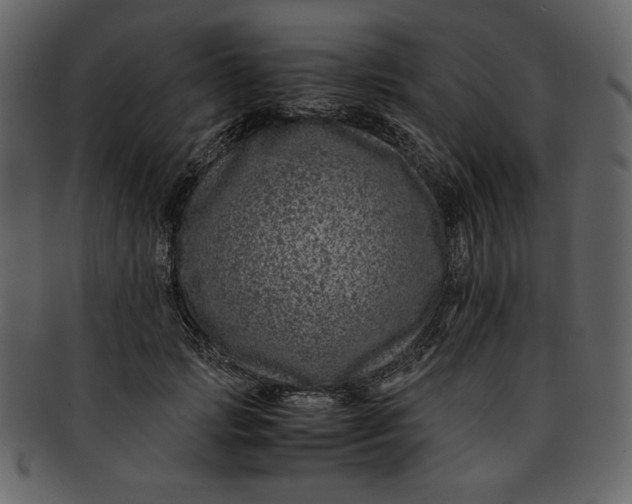 X0000093230749200710171418