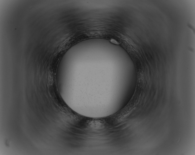 X0000093230751200710171418