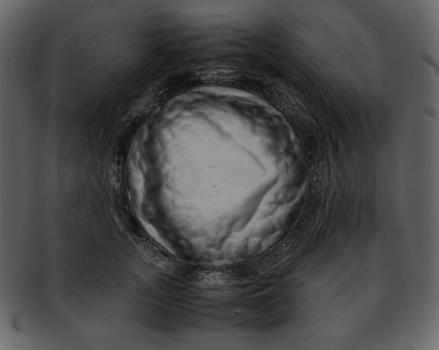 X0000093230755200710171418