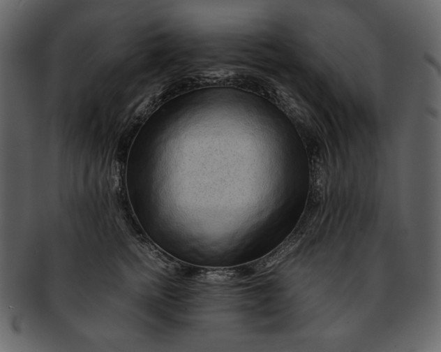 X0000093230758200710171418