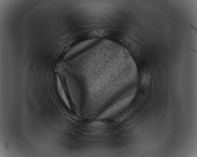 X0000093230759200710171418