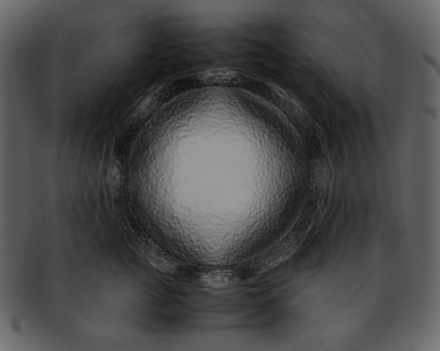 X0000093230761200710171418