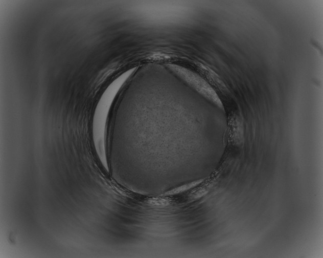 X0000093230762200710171418