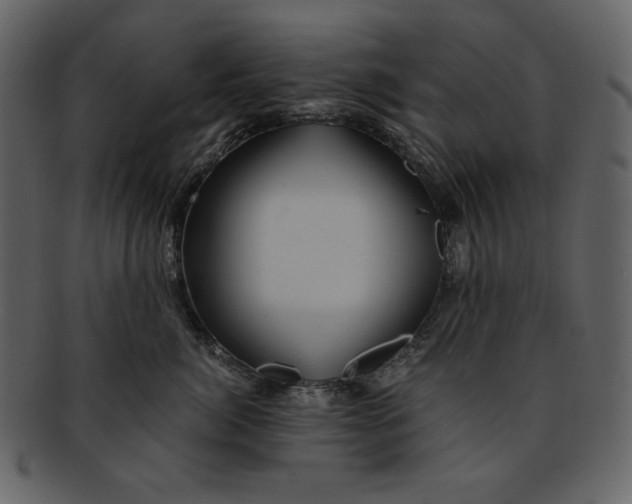 X0000093230764200710171418