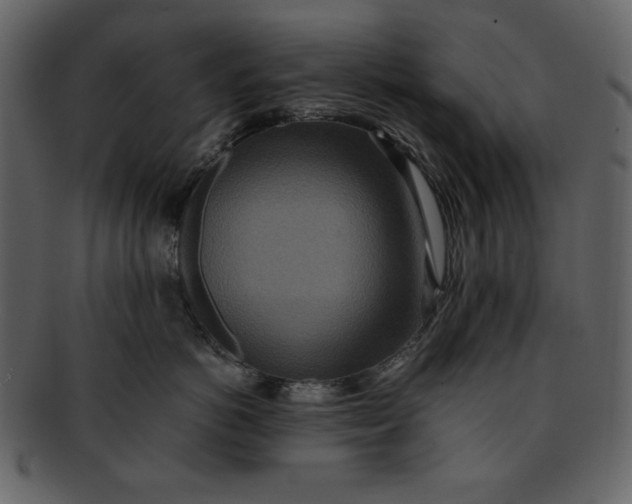 X0000093230766200710171418