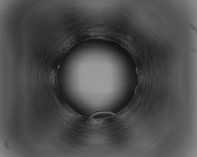 X0000093230767200710171419