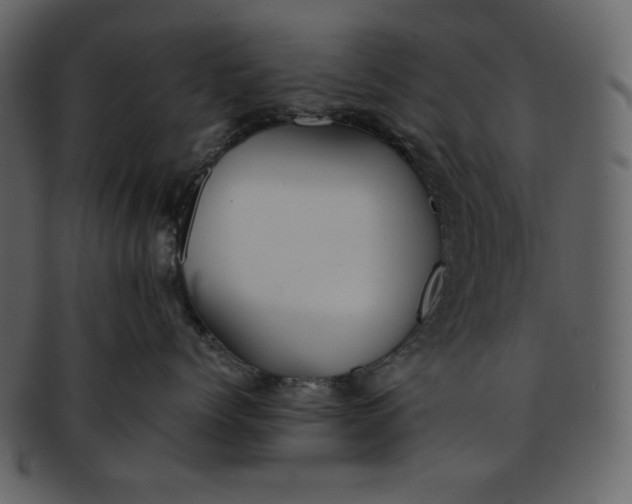 X0000093230768200710171419