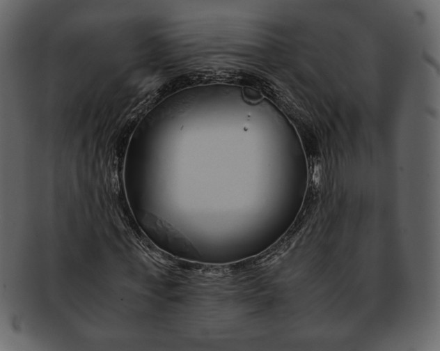 X0000093230771200710171418