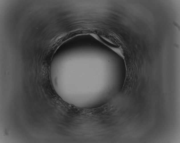 X0000093230773200710171418