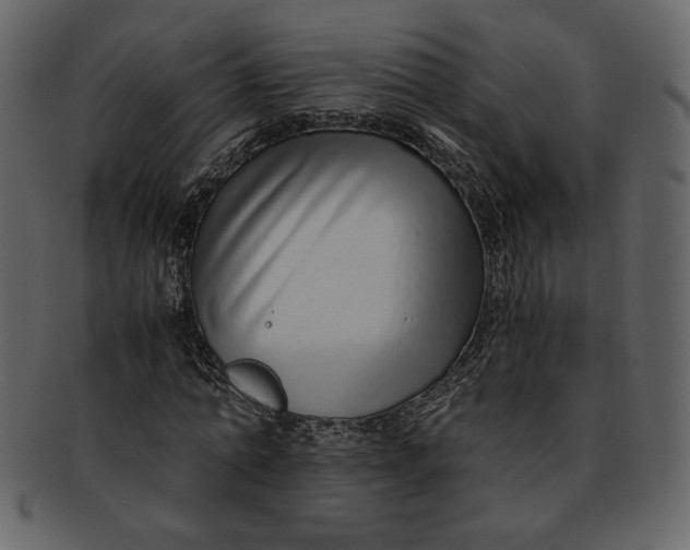 X0000093230774200710171418