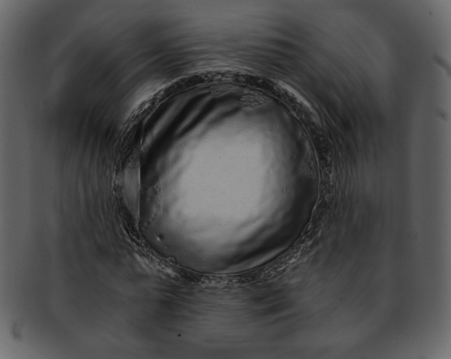 X0000093230775200710171418