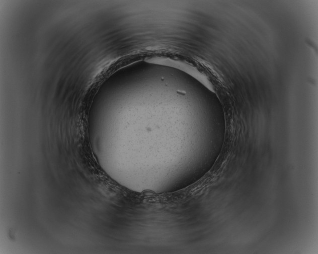 X0000093230776200710171418