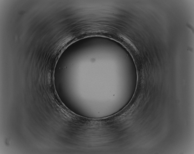 X0000093230777200710171418