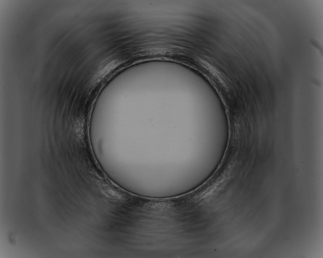 X0000093230778200710171418