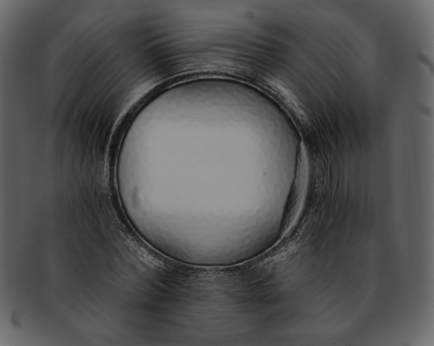 X0000093230780200710171418