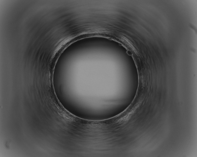 X0000093230781200710171418