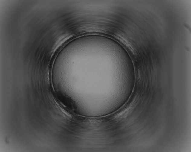 X0000093230782200710171418