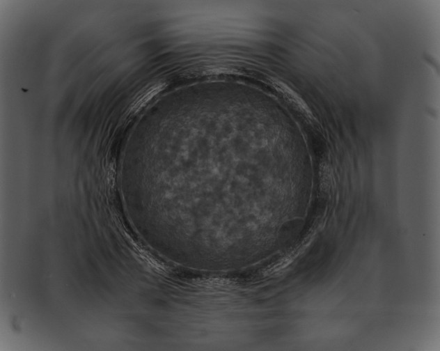 X0000093230785200710171418