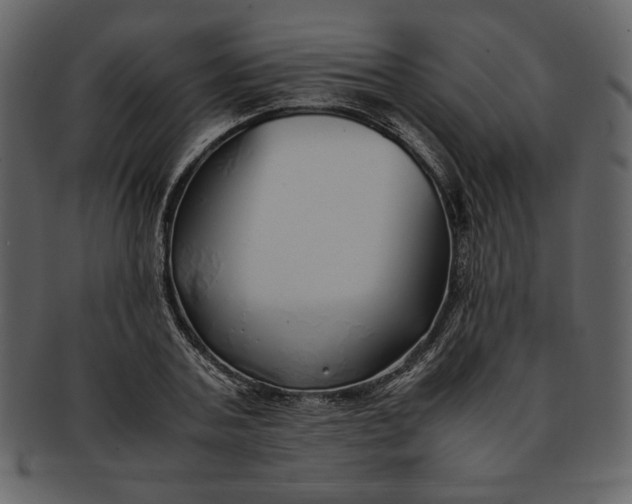 X0000093230787200710171418