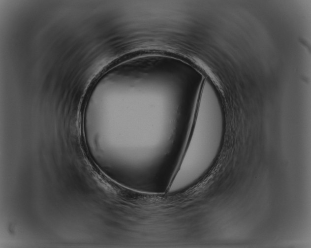 X0000093230791200710171418