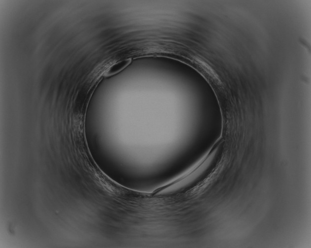 X0000093230793200710171418