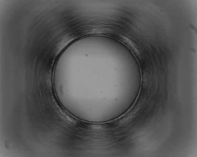 X0000093230794200710171418