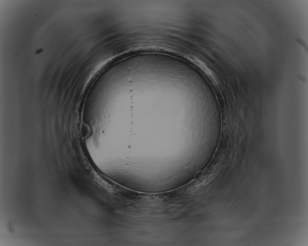 X0000093230799200710171417