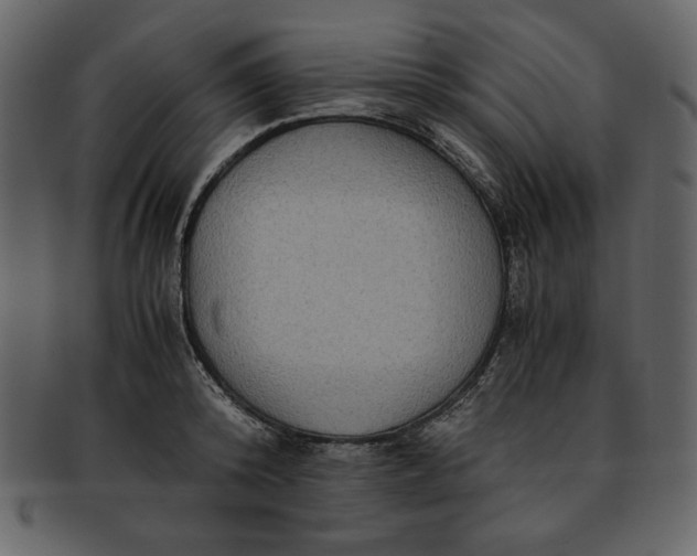 X0000093230800200710171417