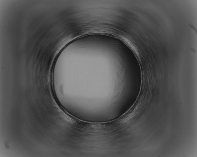 X0000093230803200710171417