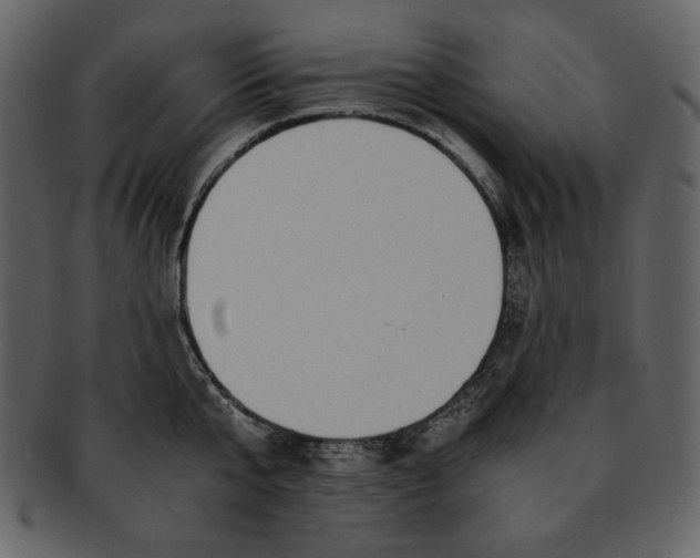 X0000093230807200710171417