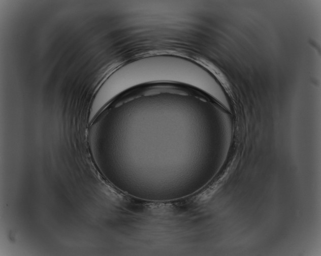 X0000093230809200710171417