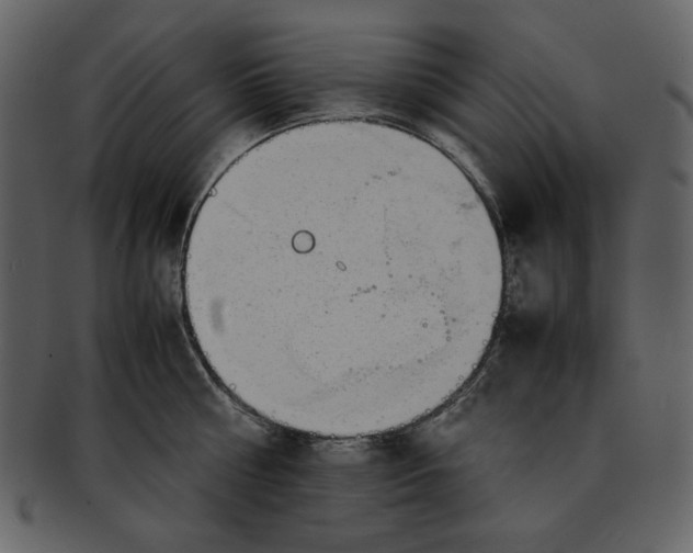 X0000093230810200710171417