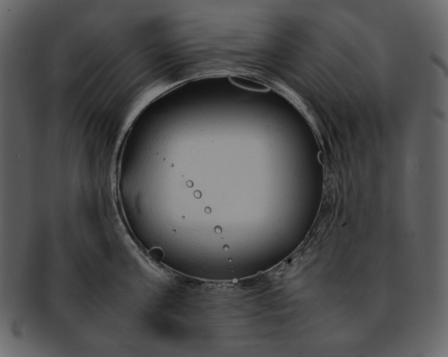 X0000093230811200710171417