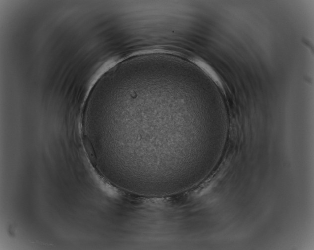 X0000093230813200710171417