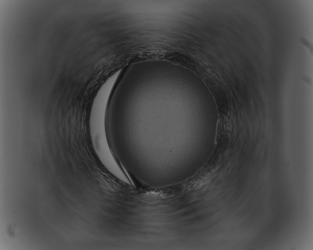 X0000093230818200710171417