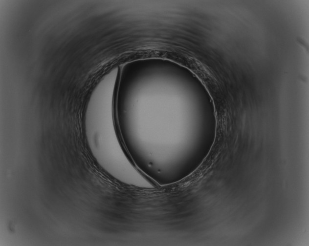 X0000093230821200710171417