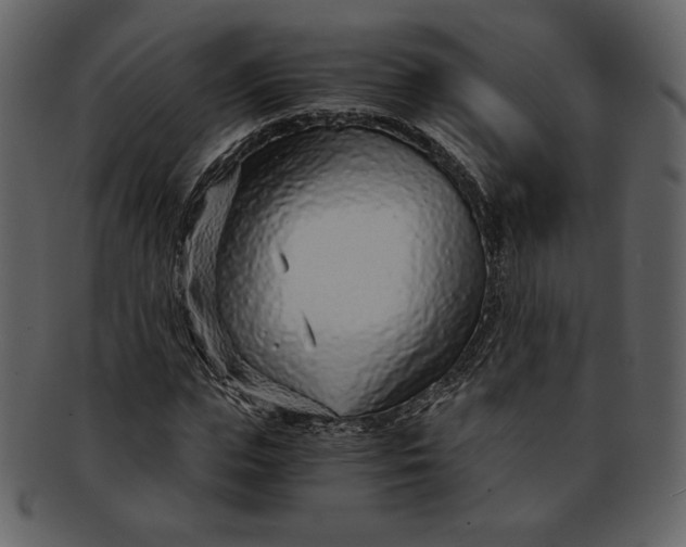 X0000093230823200710171417