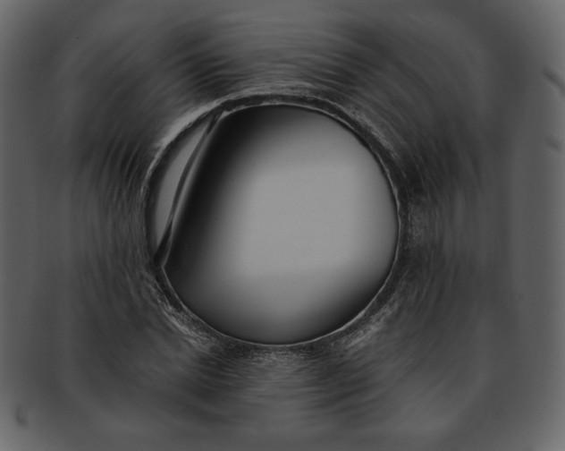 X0000093230830200710171417