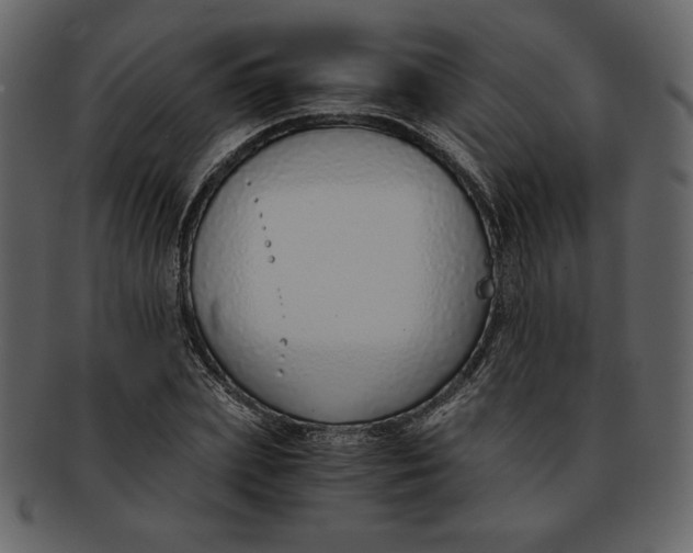 X0000093230831200710171417